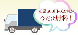 送料無料特典